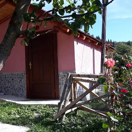 Villa Vrben Vrbena Exterior foto