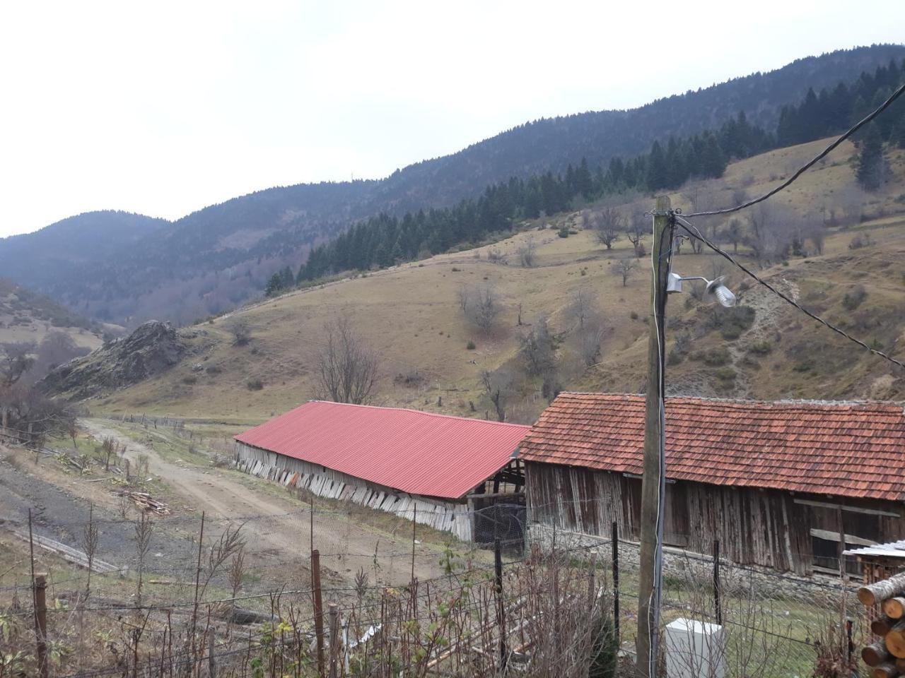 Villa Vrben Vrbena Exterior foto